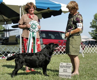 E.O.L.B.A Best of Breed 2011
